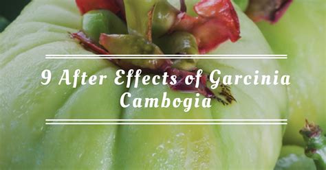 bad effects of garcinia cambogia.